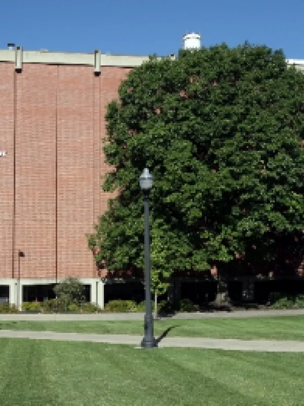 Institute for Behavioral Medicine Research